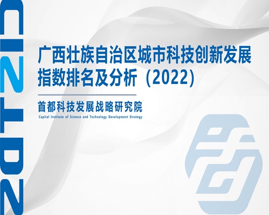 老人黄色电影网站【成果发布】广西壮族自治区城市科技创新发展指数排名及分析（2022）